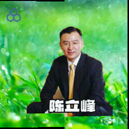 陈立峰